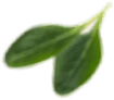 1 img-icon